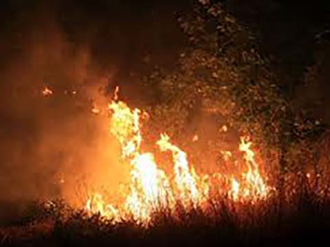 Αλεξάνδρεια: Γενική απαγόρευση ανάμματος φωτιάς λόγω ισχυρών ανέμων