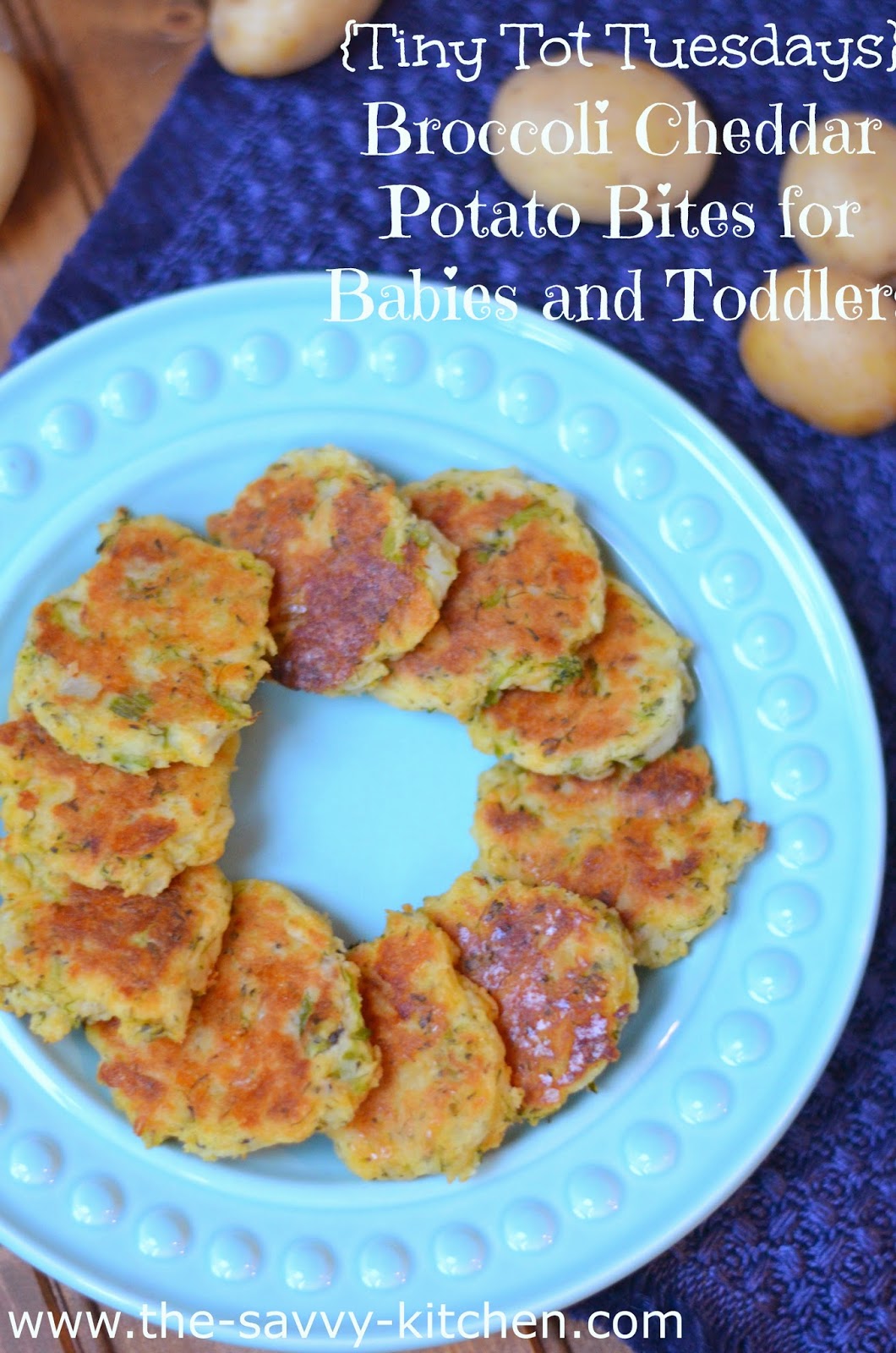 The Savvy Kitchen {Tiny Tot Tuesdays} Broccoli Cheddar Potato Bites