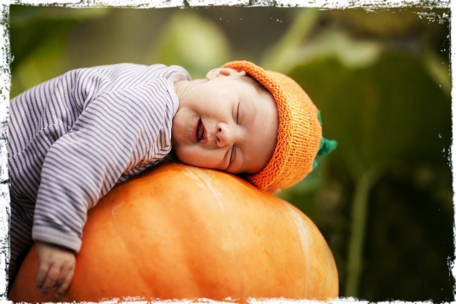 Cute baby taking a nap on a big pumpkin for Thanksgiving - after a big thanksgving meal no doubt