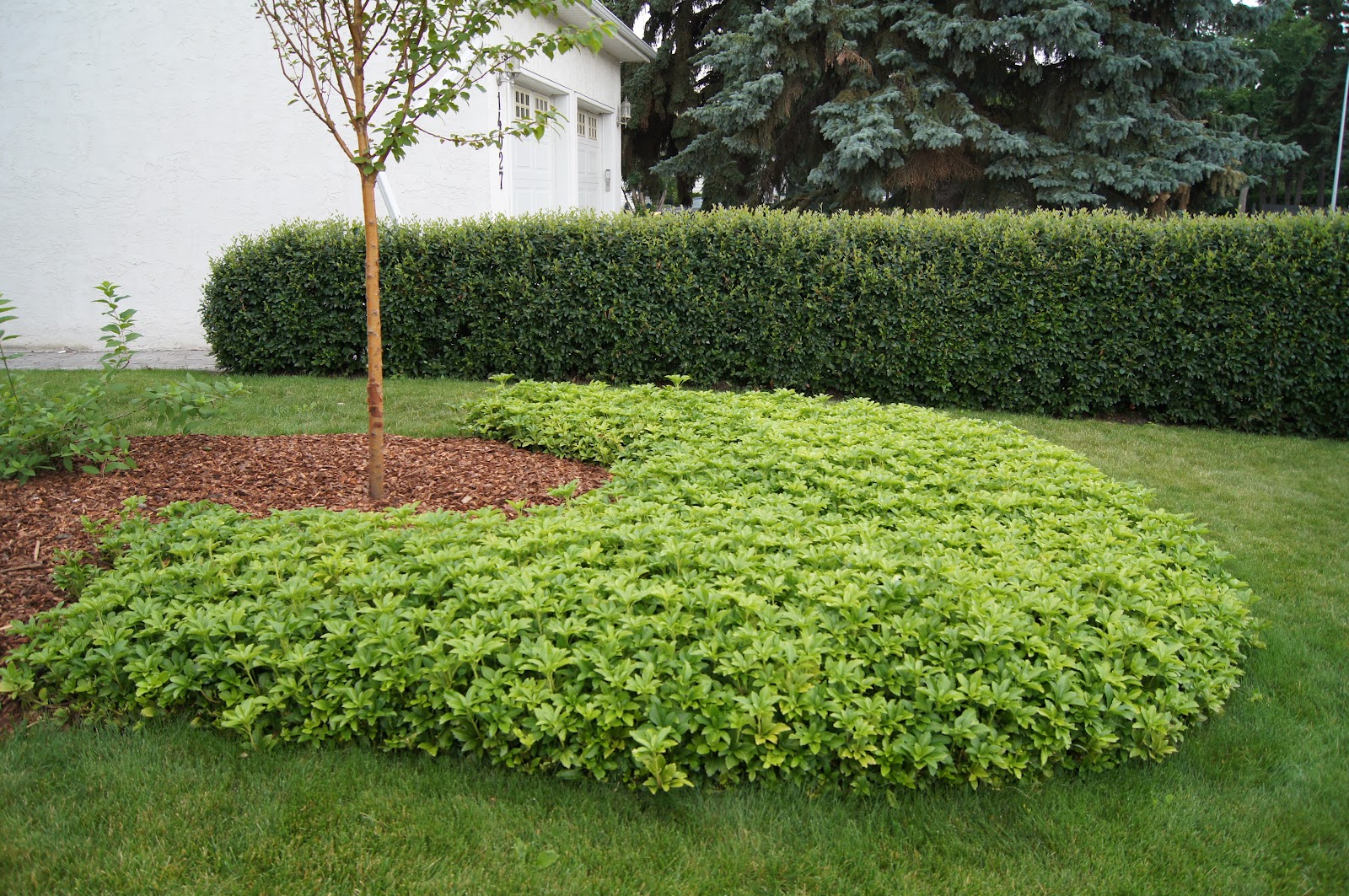 Deep Roots Garden Design Blog Edmonton Horticulural Garden Tour Photos