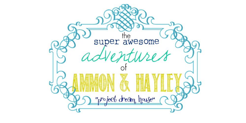 ammon + hayley's great adventure