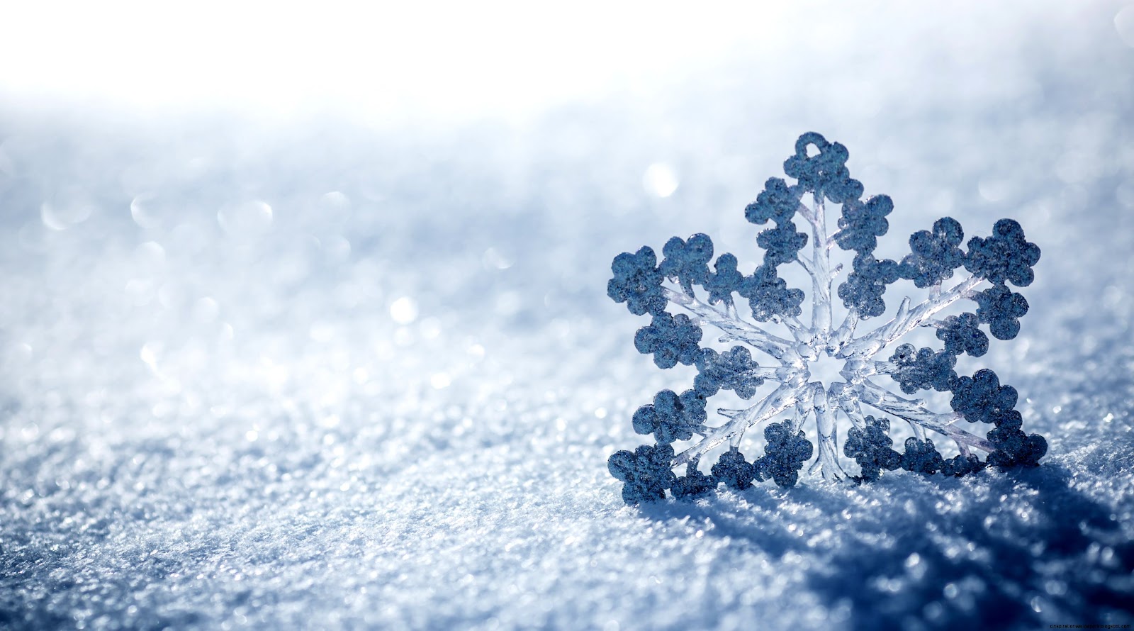 Snowflake Photography Desktops Snowflake Photography Desktops