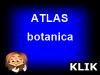 ATLAS - BOTANICA