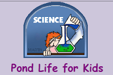 Super website for your young scientist