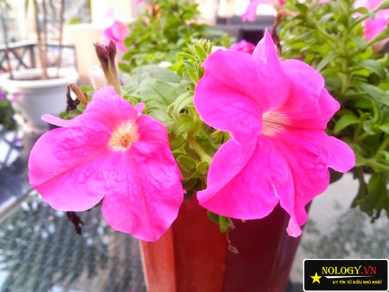 đánh giá sky a880 đánh giá sky a880