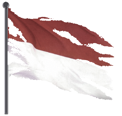 Bendera Start