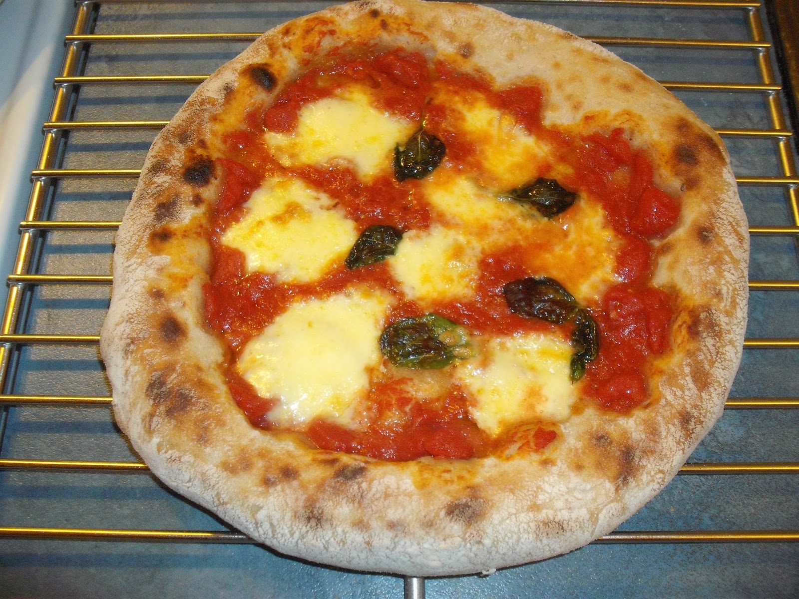 Te Toroa the wandering albatross Cast Iron Pizza Stone