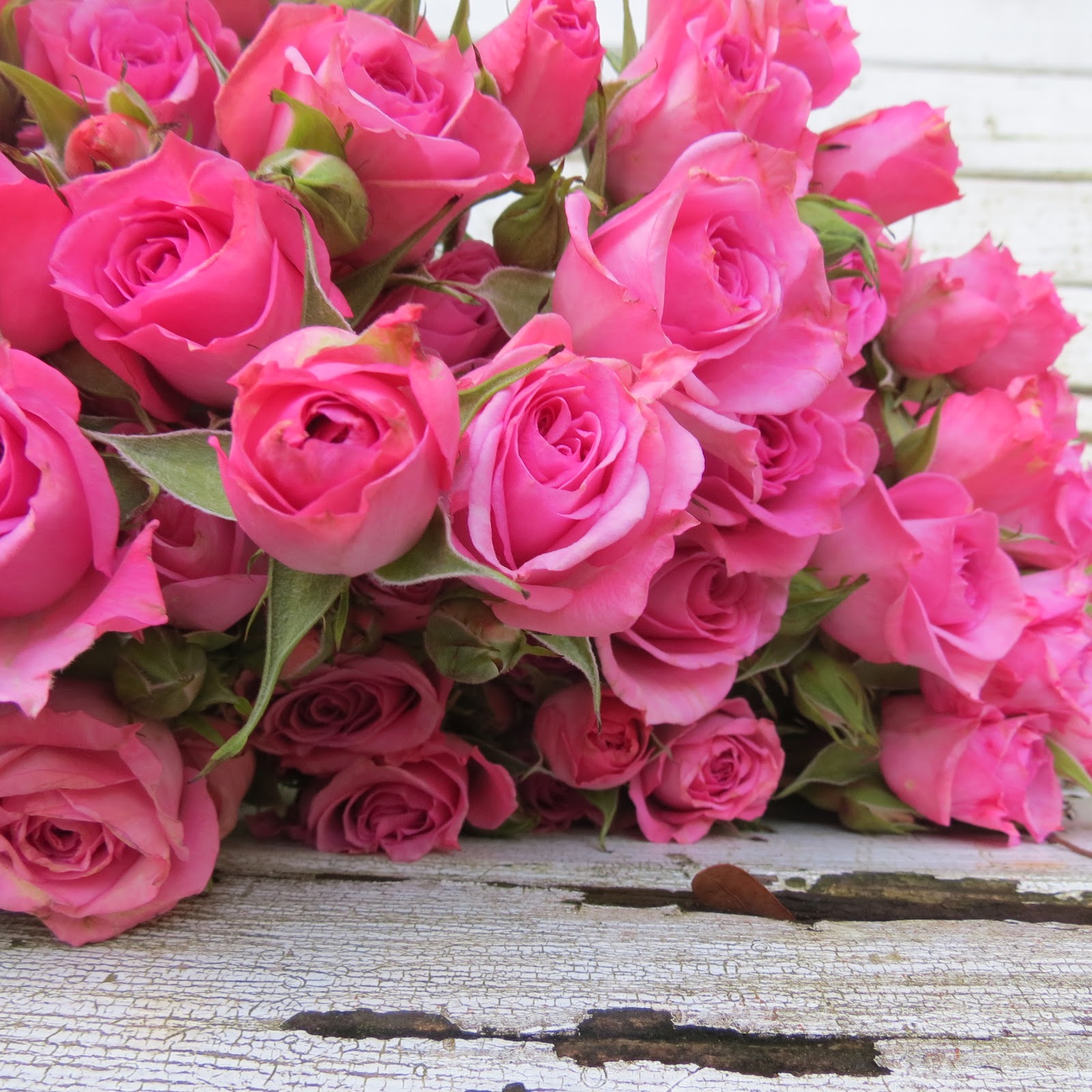 Does Publix Sell Flowers at William Cavanaugh blog