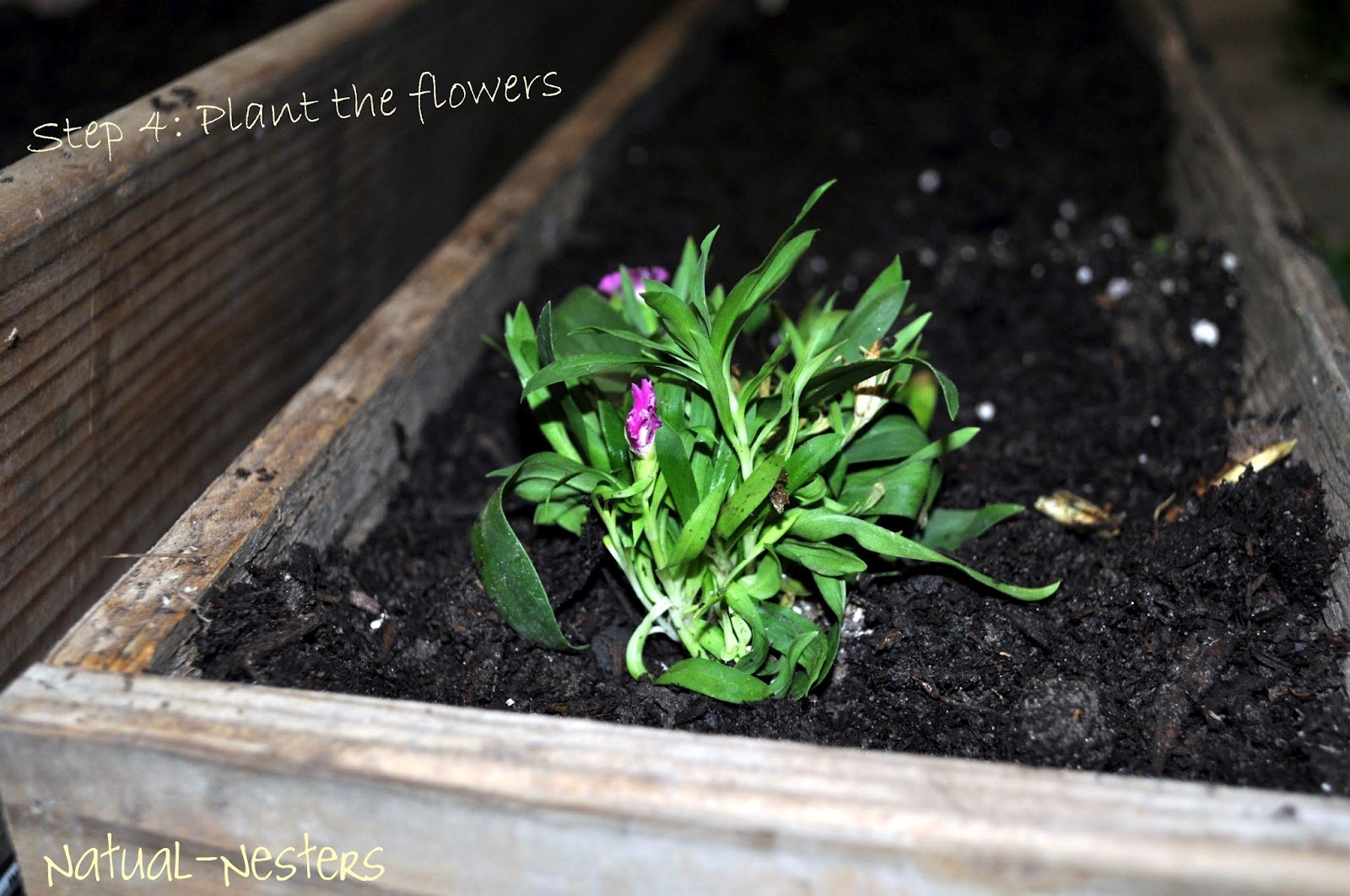 Natural Nesters Flower Boxes from Scrap Wood