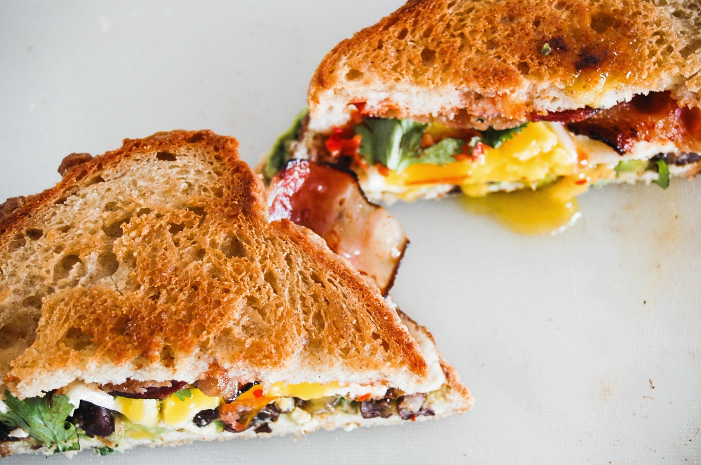 GLORIOUS SANDWICHES GRINGO chilli + black bean + guac + bacon + egg