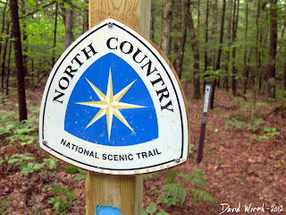north country national scenic trail marker sign, blue marker, manistee national forest trail