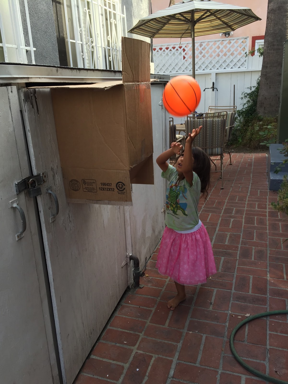 Charlotte Mason in Santa Monica How to Make a Basketball Hoop Out of a