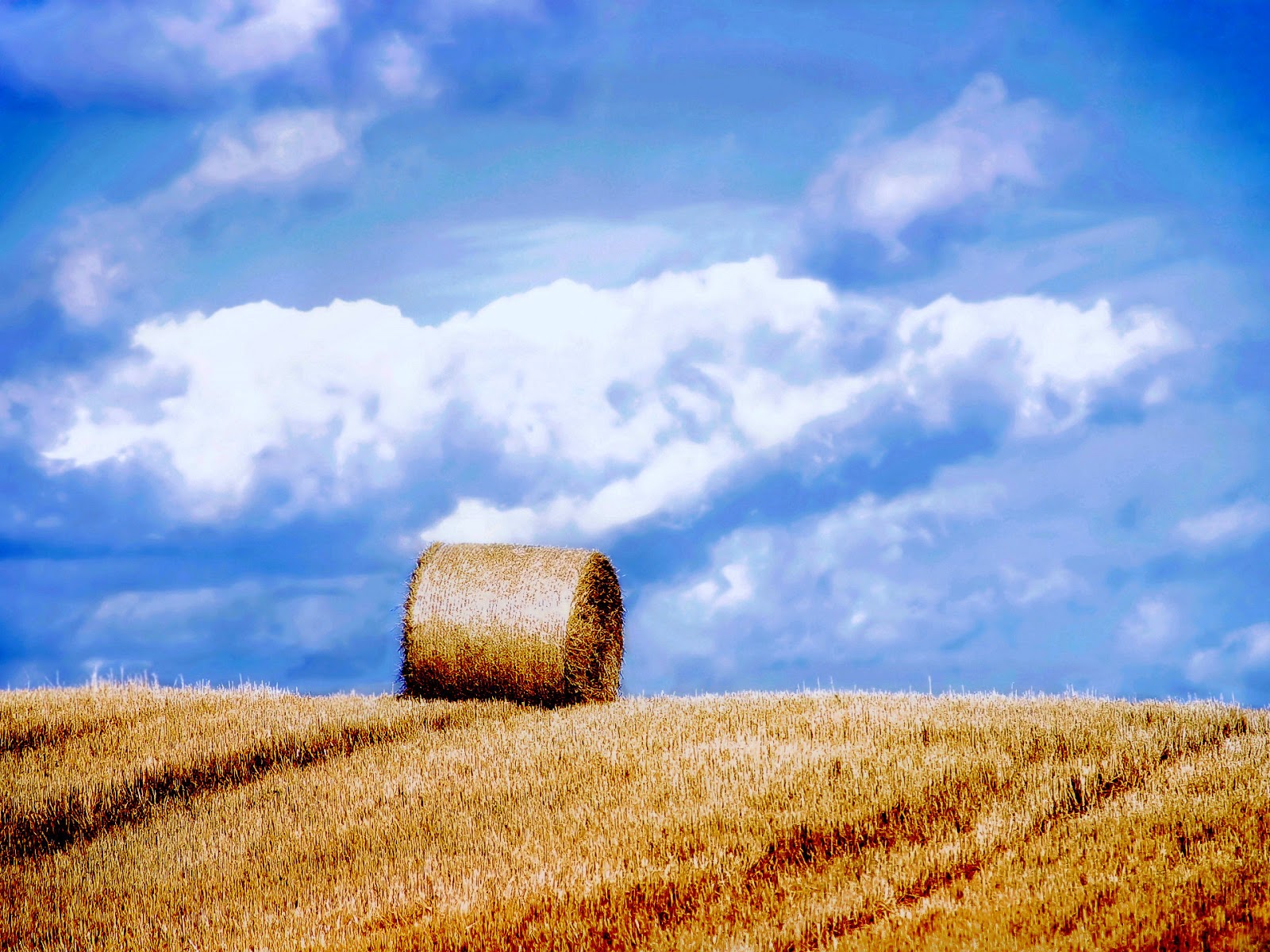 Pictures: 40 Beautiful Nature Wallpapers HD | Amazing, Funny, Beautiful