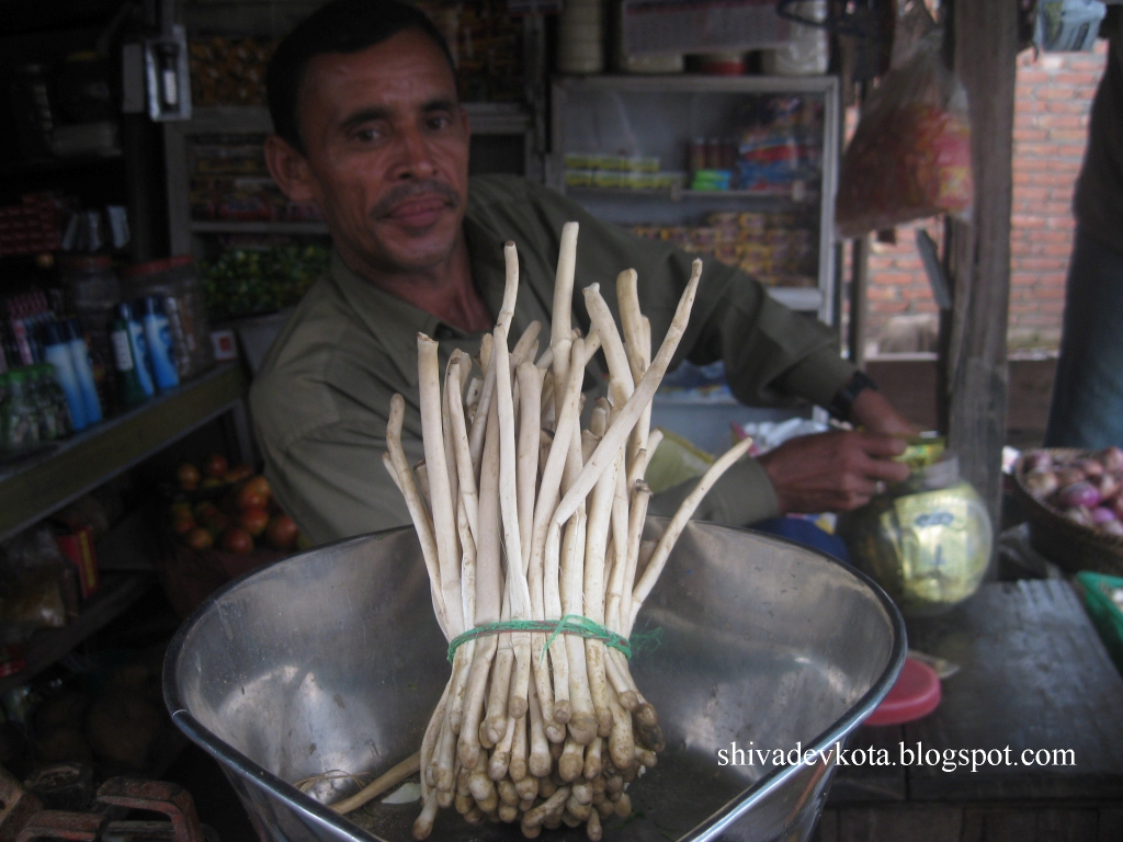 Nepal Himalayas च्याउ कस्तो खाने, कस्तो नखाने