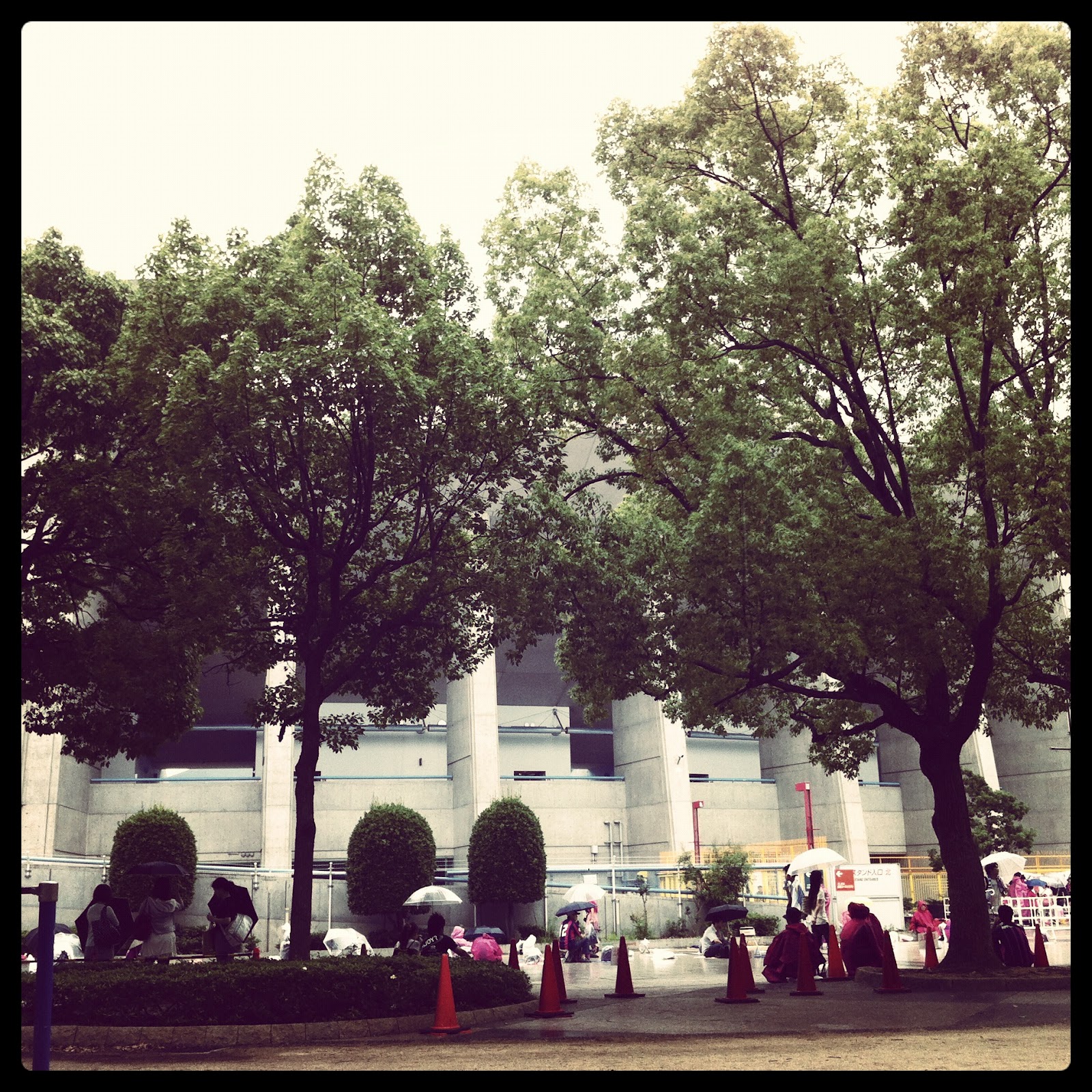 清武壮行試合反省会 Cerezo ライブドアニュース