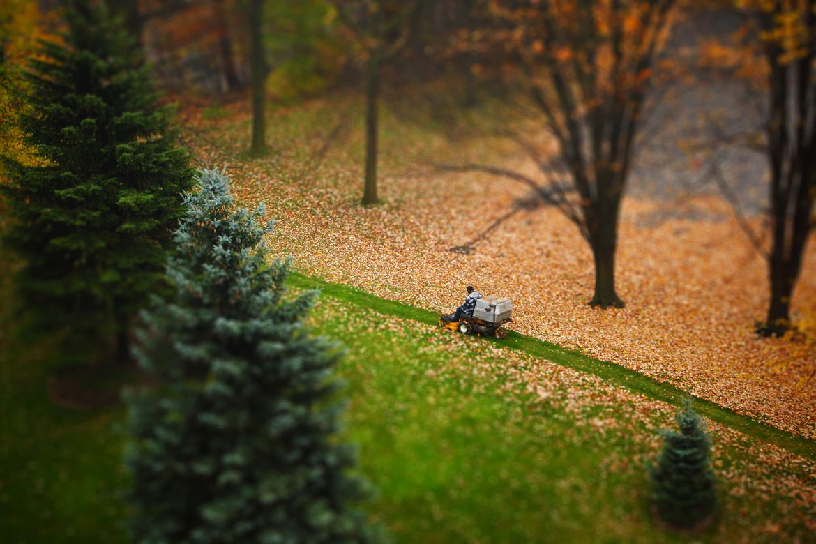 8. November Leaf Clean-Up 8. November Leaf Clean-Up