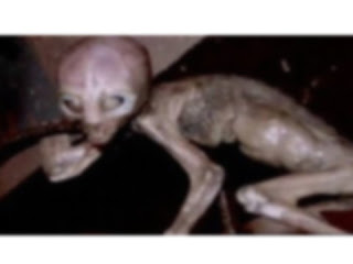 墨西哥外星人木乃伊