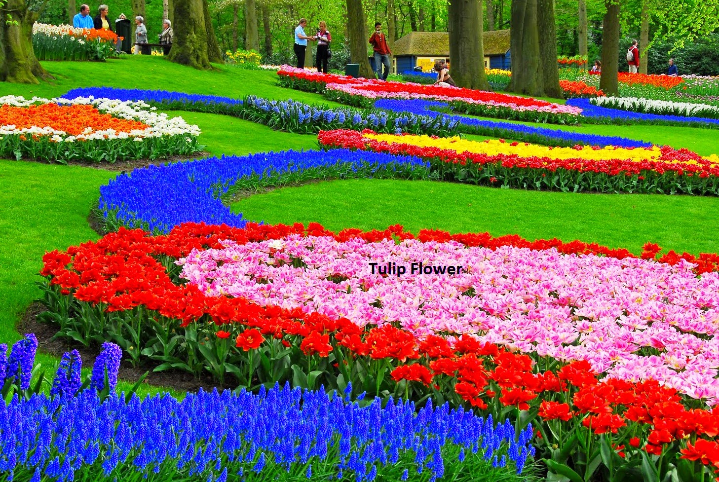 Best Places to Travel The Beautiful and The Best Place to Travel in