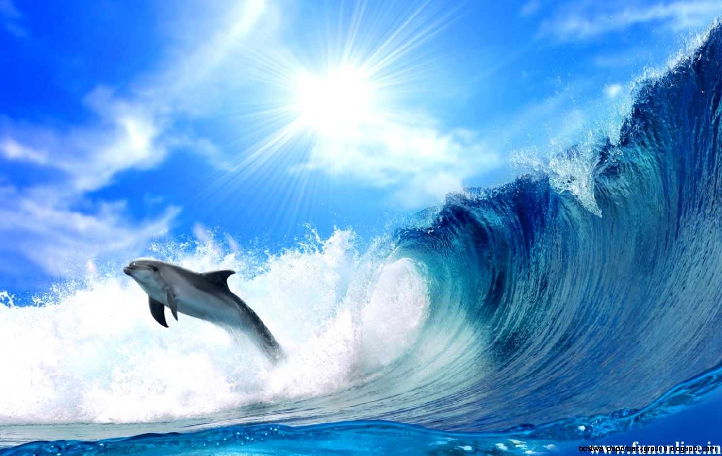 Wallpapers Moonlight In The Winter Dolphin Friendly Fish Dolphins Wallpapers Moonlight In The Winter Dolphin Friendly Fish Dolphins