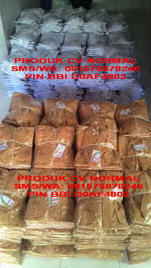 PRODUK CV NORMAL