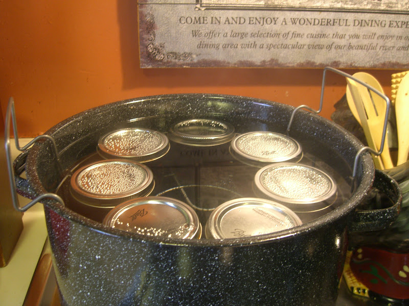 The Working Home Keeper Preserving the Season Canning Pear Honey