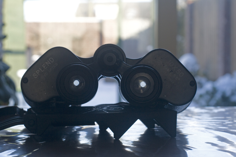 Patricks weblog Binocular testing