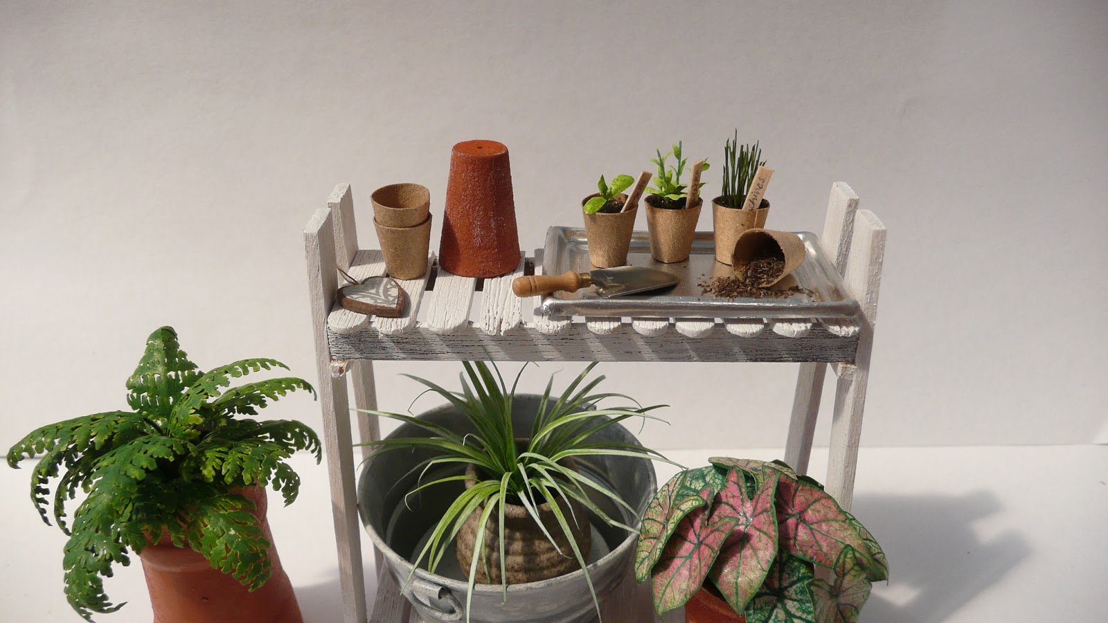 Amber's House 112 scale seedlings and plants