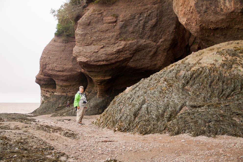 IsenhartsPhotos Hopewell Rocks low tide