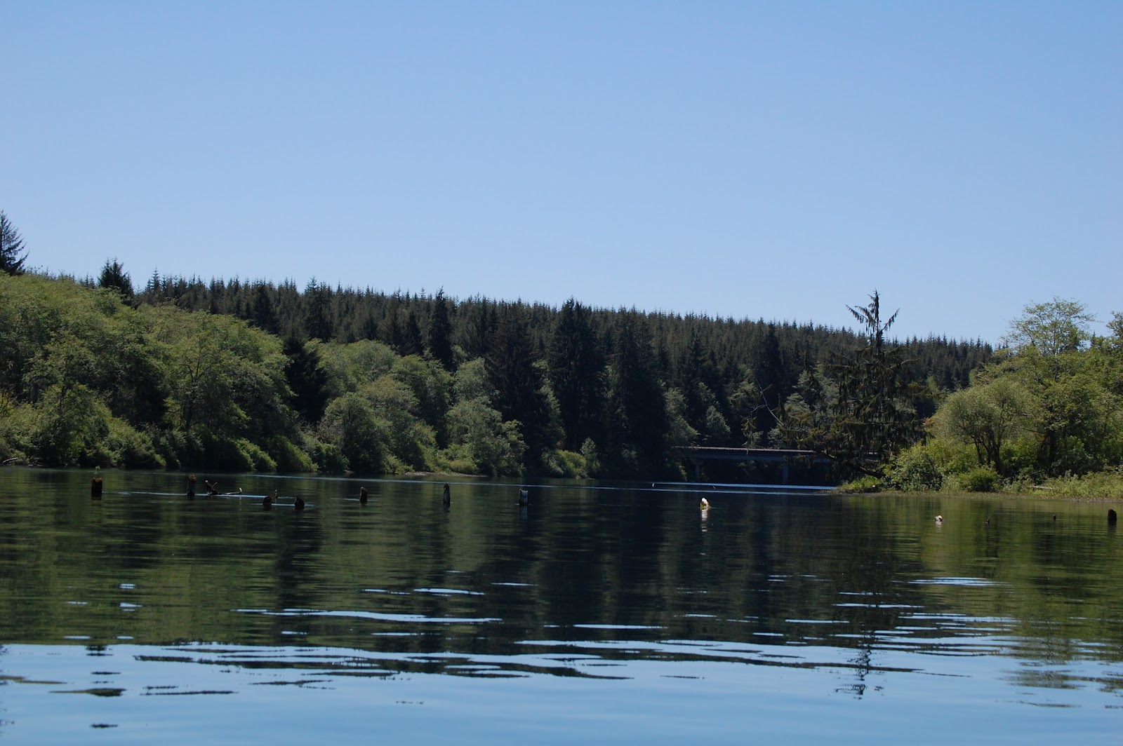 West End Flyfishing Lake Quinault