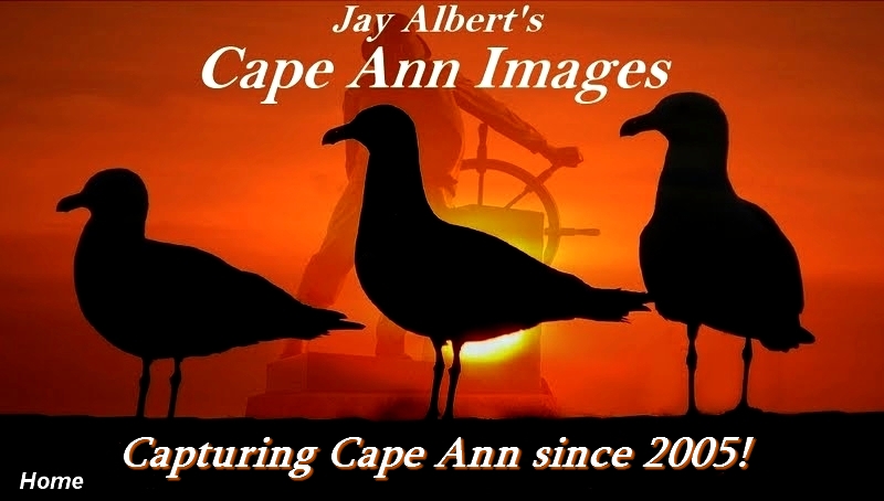 Cape Ann Images