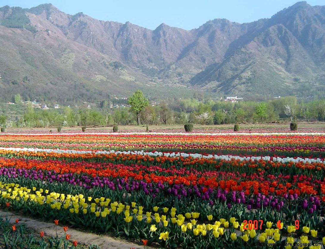 Beautiful Images Of Kashmir Valley Zoom Wallpapers Beautiful Images Of Kashmir Valley Zoom Wallpapers