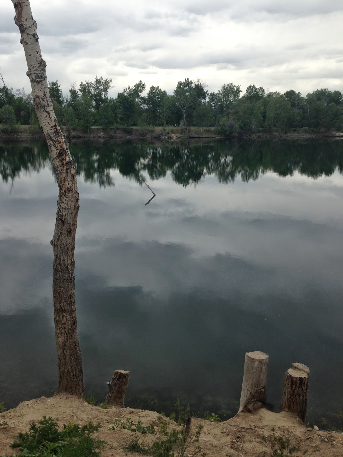 Something Between Want and Desire The Greenbelt Near Surel's Place Return Visits