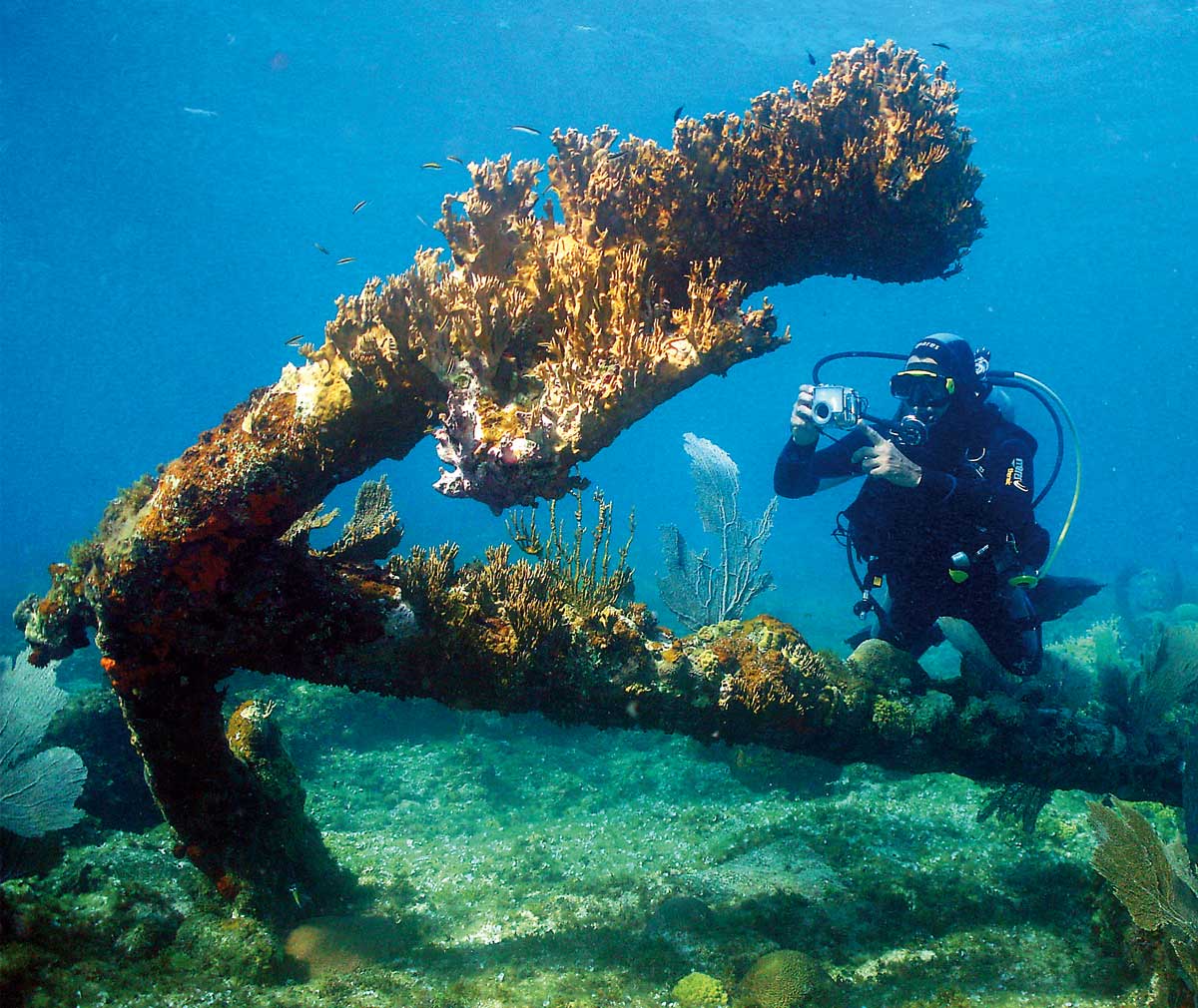 Lista 92+ Foto Fotos De La Isla De Cuba El último