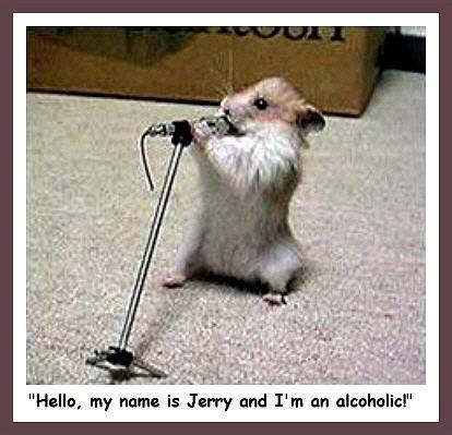 Funny Photo Animals