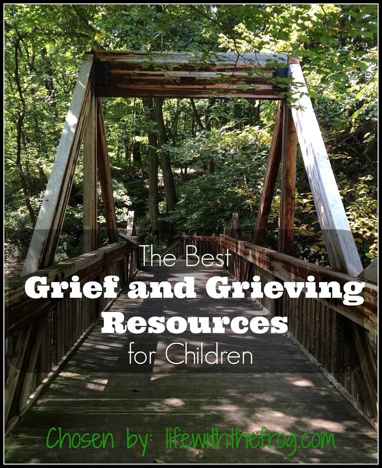 kissing the frog The Best Grief and Grieving Resources for Children