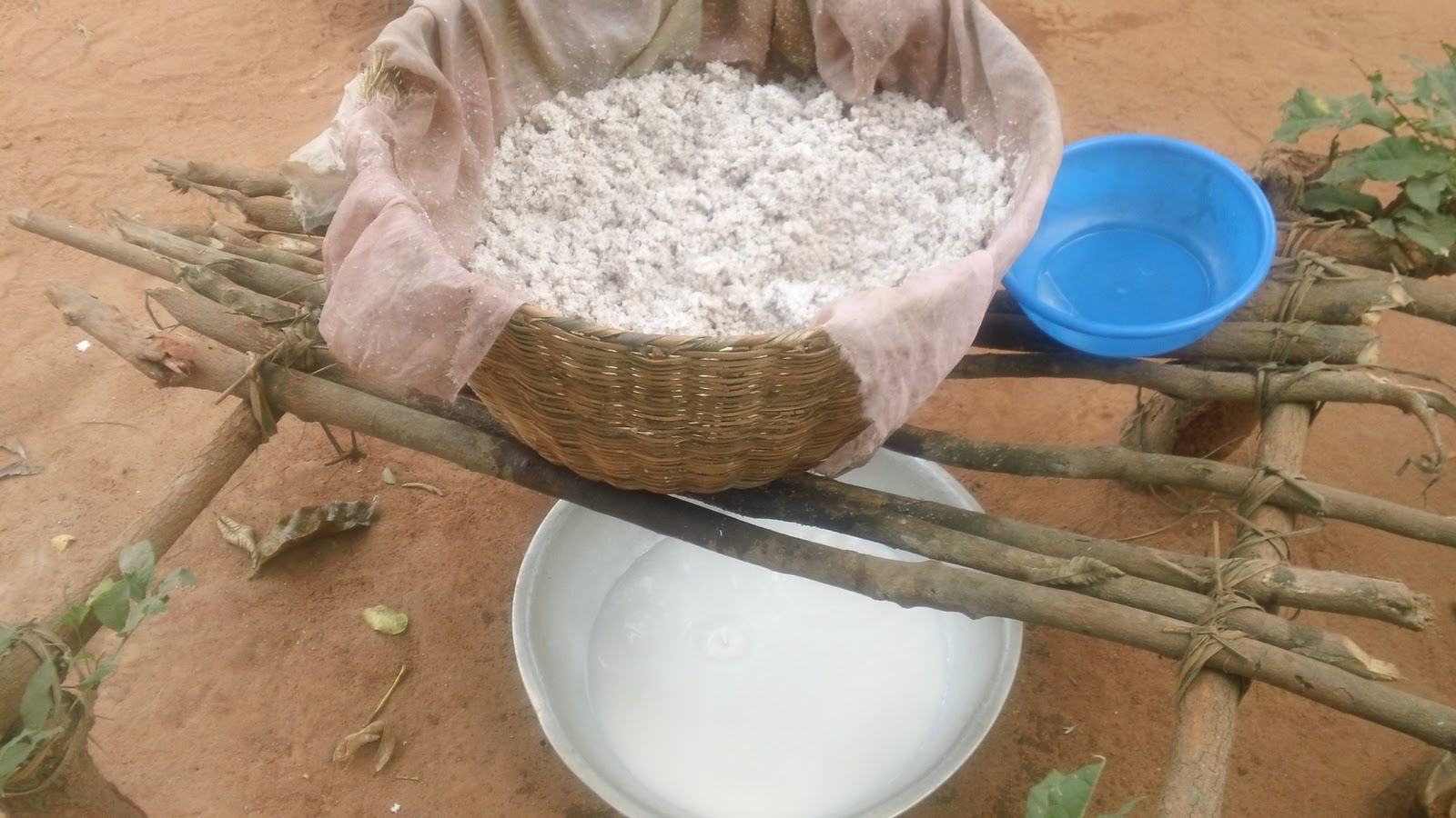 Projet Brochenin noix de coco bio à Hompou Togo. Extraction