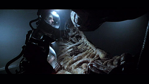 Living Space Jockey