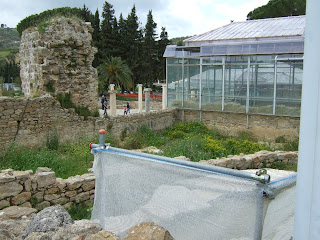 Villa Romana del Casale Villa Romana del Casale