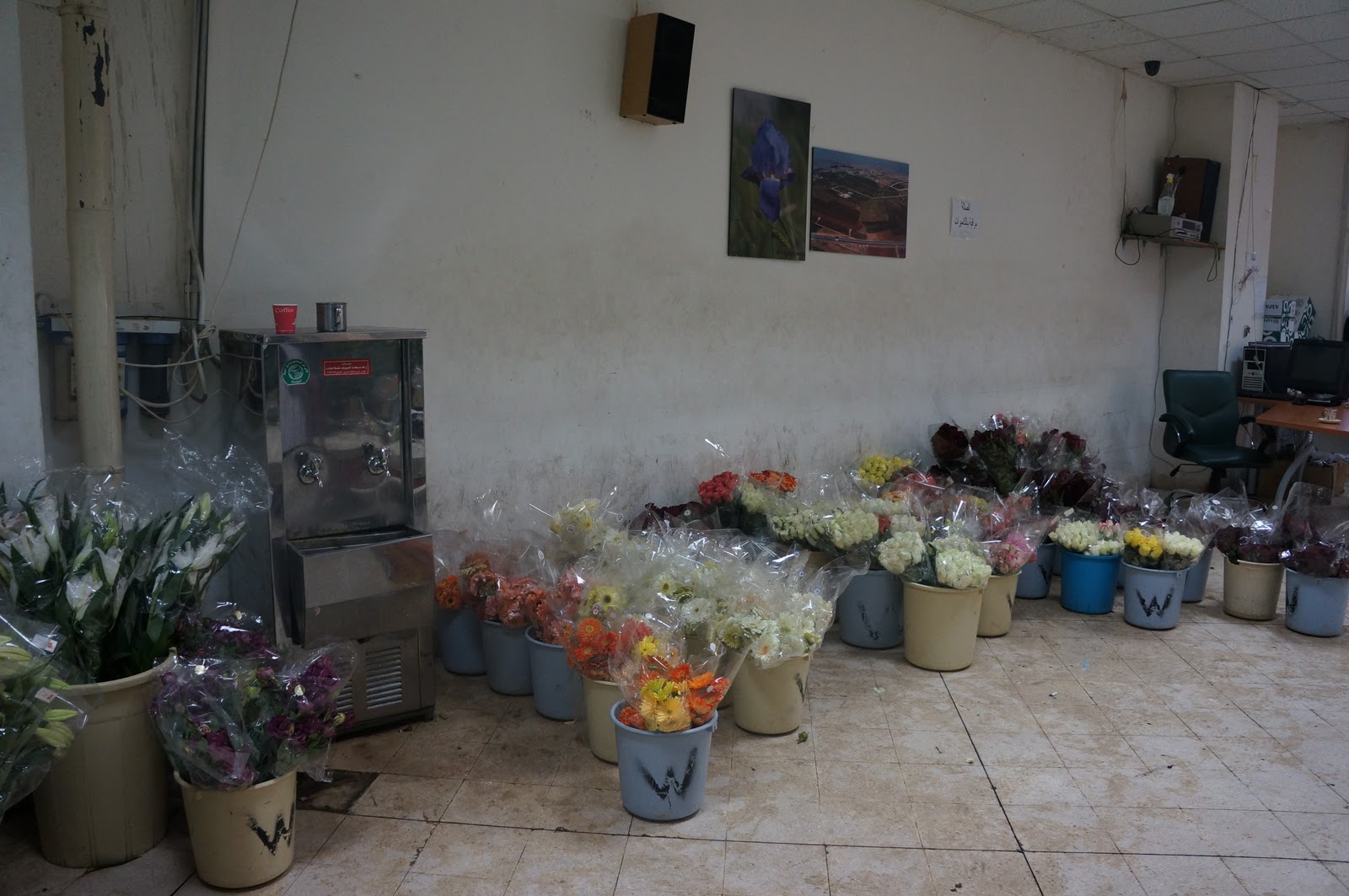 Bibs, Babs, Bobs in Amman A visit to the flower market in Amman