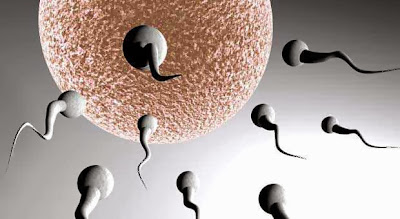 Bermanfaatkah Menelan Sperma Bagi Cewek