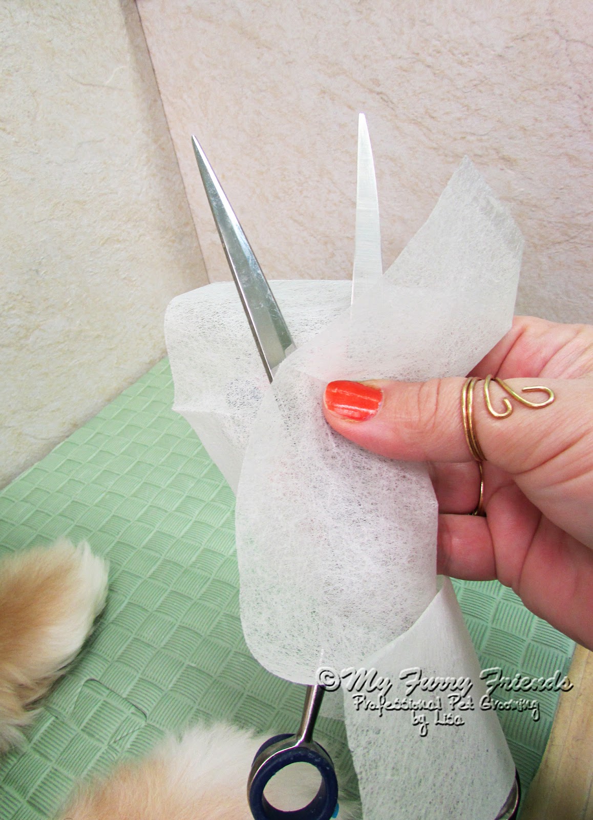 Pet Grooming The Good, The Bad, & The Furry Tuesdays Tip 46