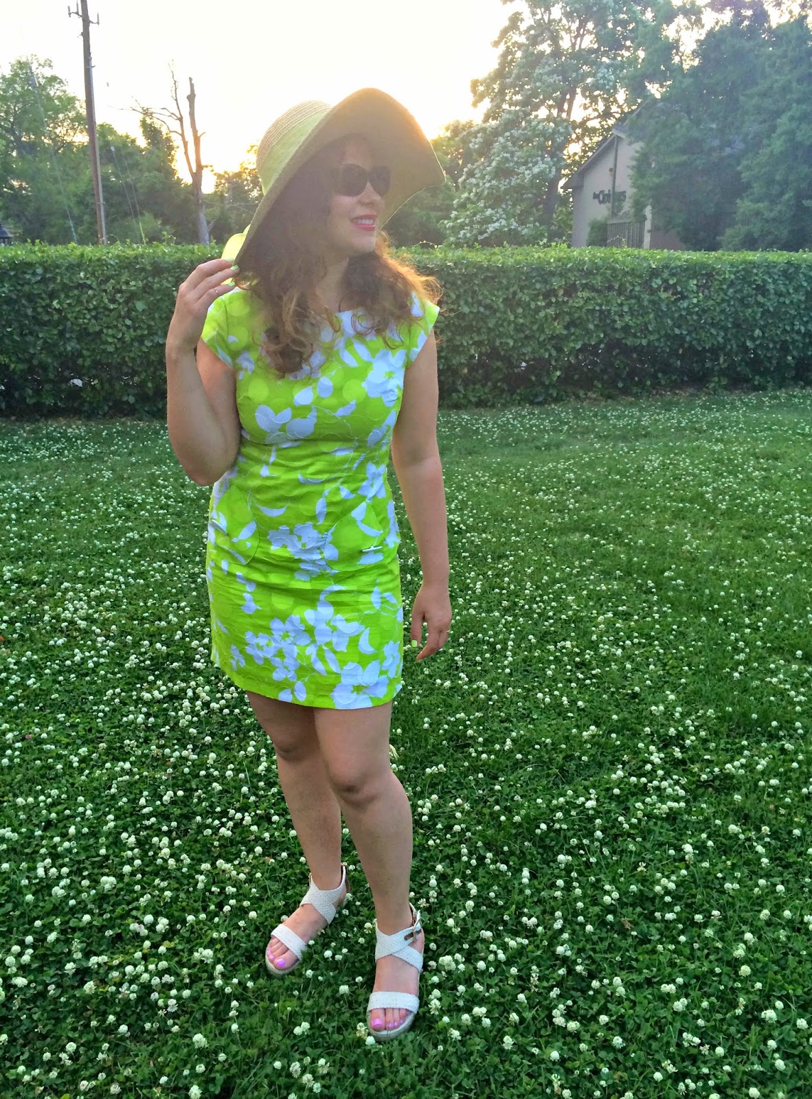 Patti Cake Key Lime in Kentucky