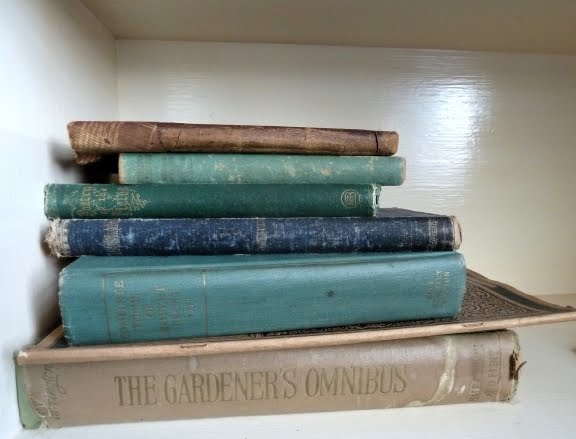 a stack of antique ooks. patterns in nature book. a stack of antique ooks.