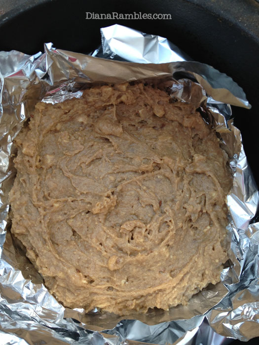 Dutch Oven Apple Cinnamon Cake Camping Recipe