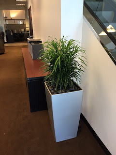 office planters corporate holiday and seasonal decorations;