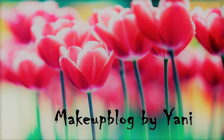 makeupblog by yani