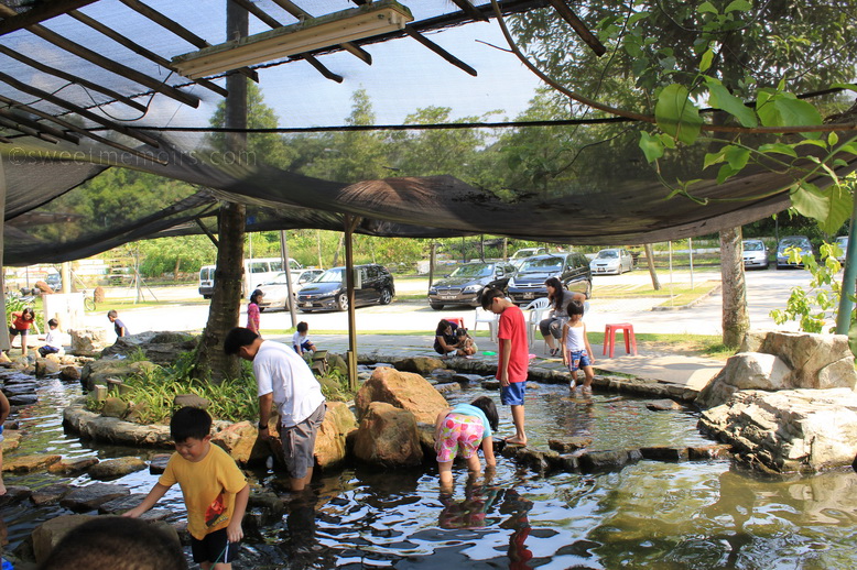 Cherry Berry Fishing and Prawning at Bottle Tree Park