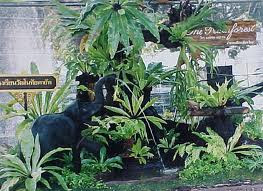 จัดสวน ไม้มงคล Garden Garland