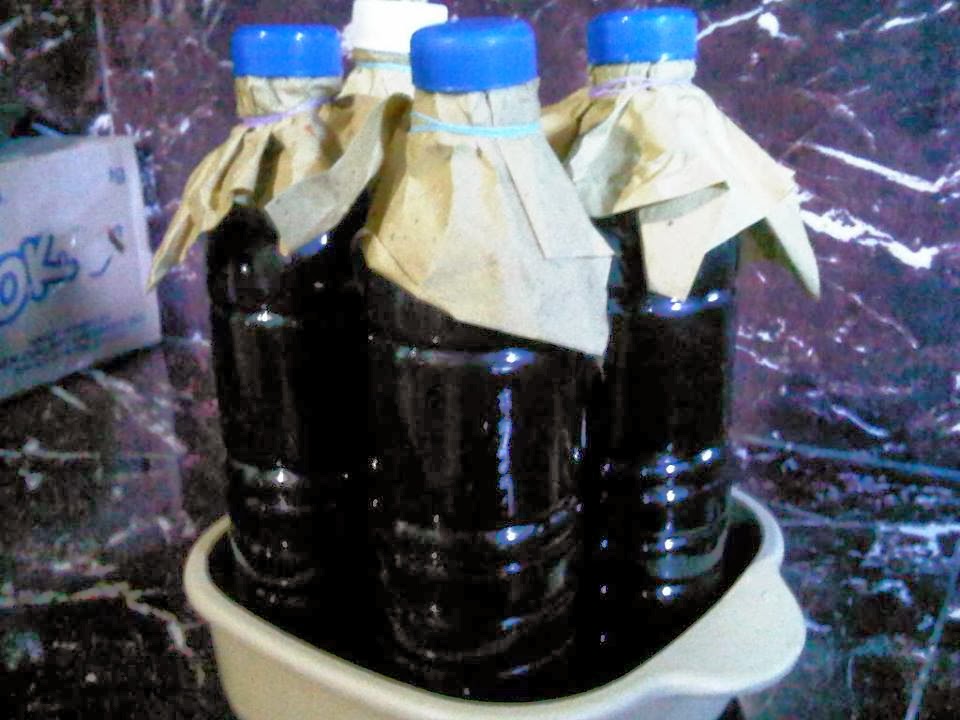 Kimmy ) How to make a Fermented Fruit Juice (FFJ)