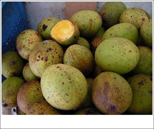 gambar: Gambar Buah Buahan Lengkap